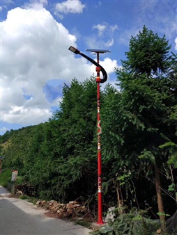 云南楚雄市民族風太陽能路燈工程案例